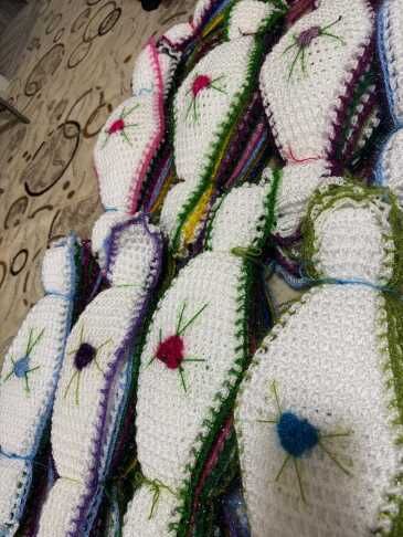 Whatsapp Image 2026 04 29 At 11.35.48 (2)