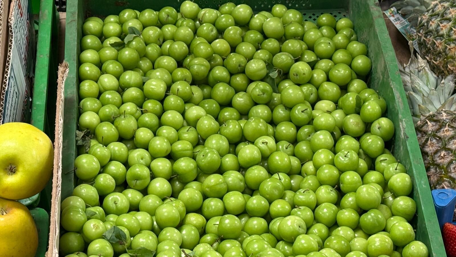 Whatsapp Image 2026 04 29 At 16.16.50