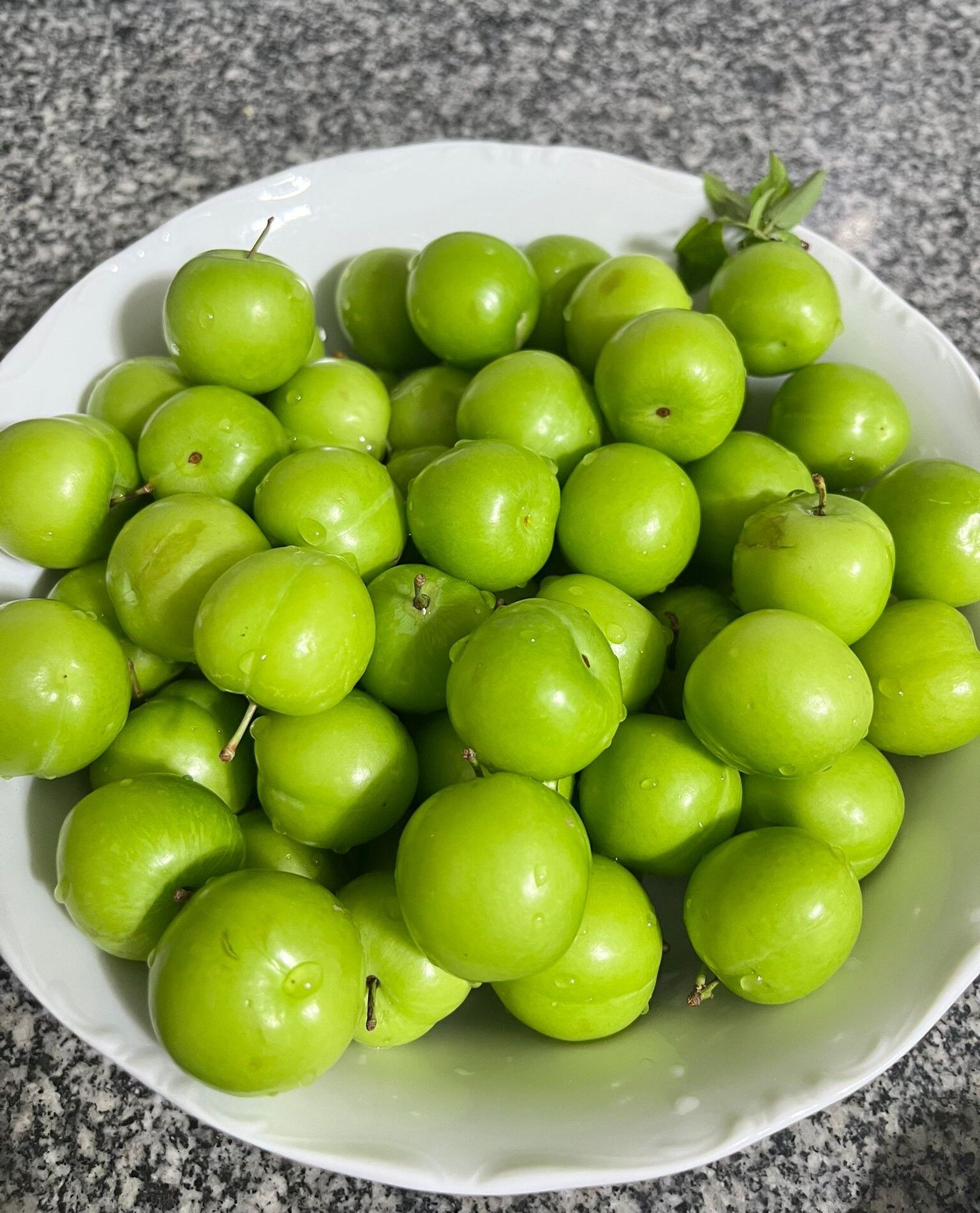 Whatsapp Image 2026 04 29 At 16.27.46