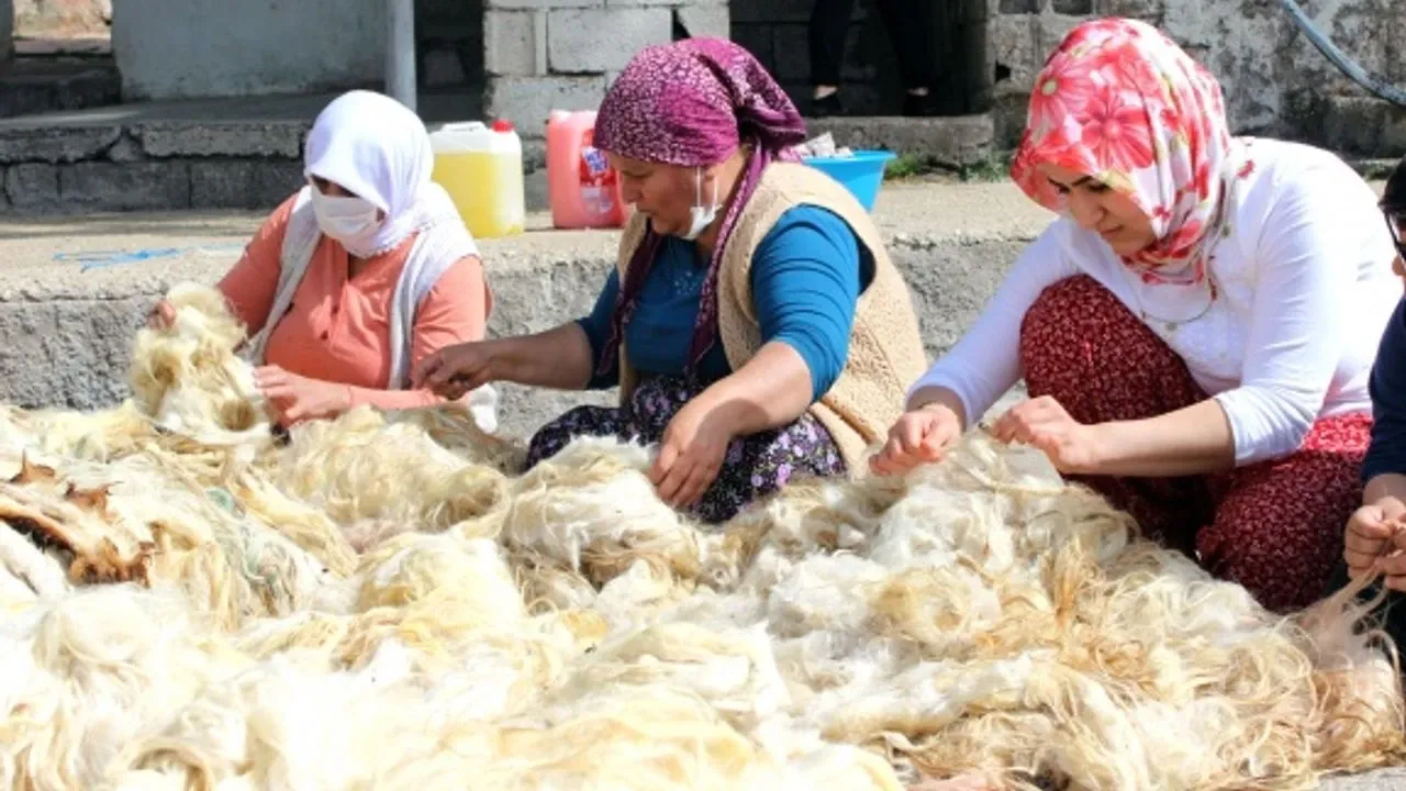 Yun Yikama Sezonu Basladi H10013 22De3 1