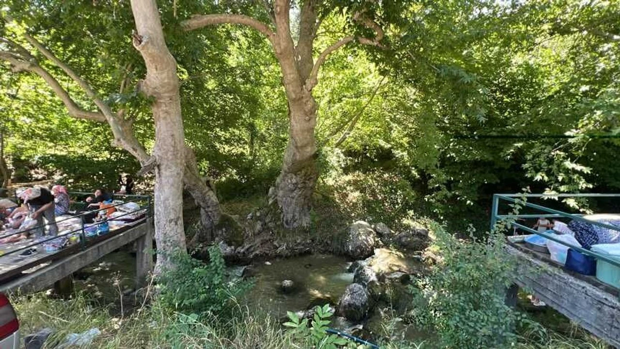 Ardıç Suyu-2