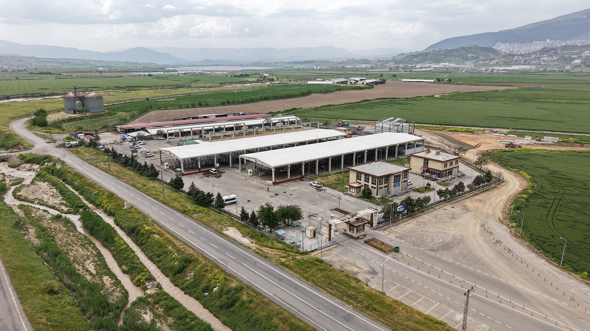 Canlı Hayvan Borsası (3)-2