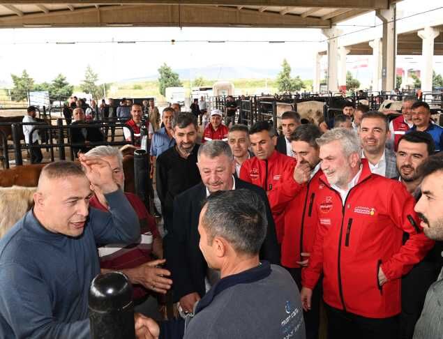 Canlı Hayvan Borsası Ziyareti (13)
