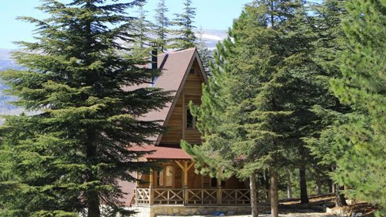 Yalniz Ardic Bungalov Evlerde Rezervasyon H34886 135D3