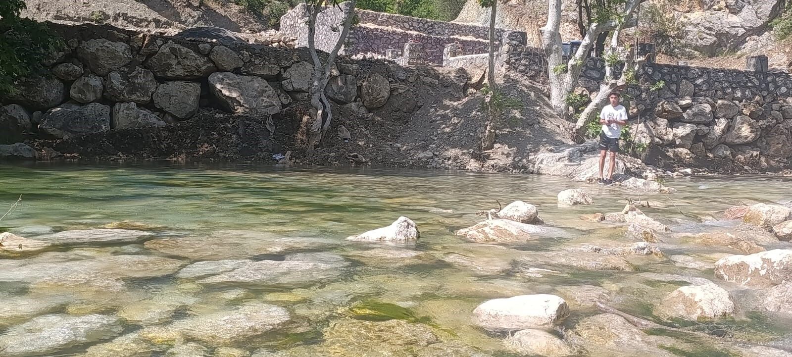 A W736085 02