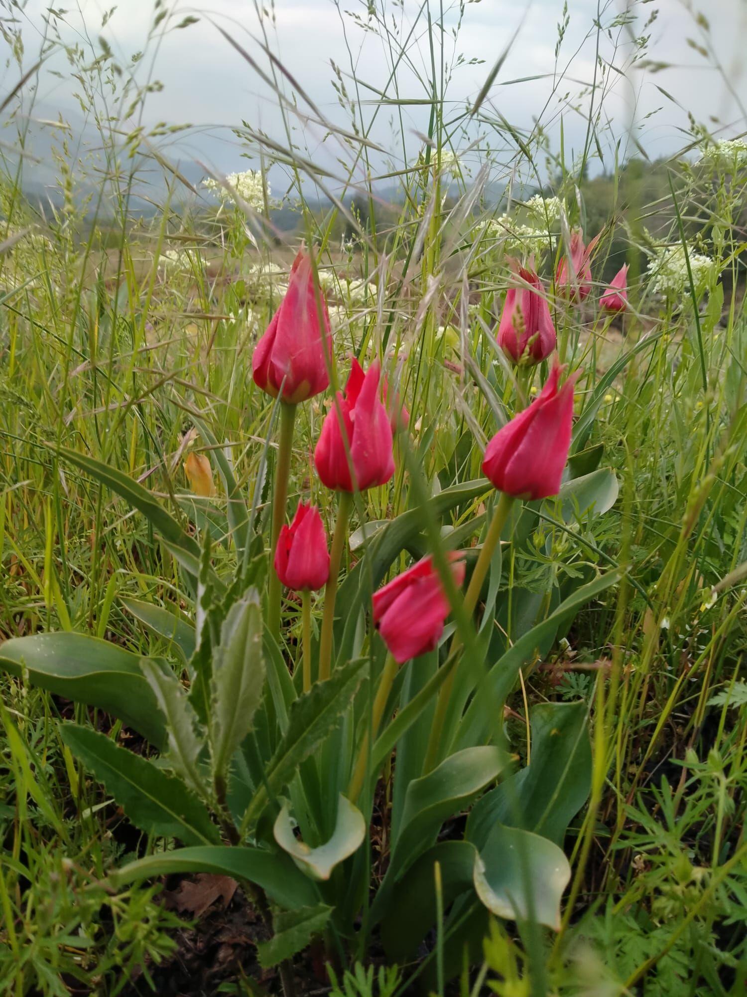 Whatsapp Image 2026 06 12 At 13.55.53 (5)
