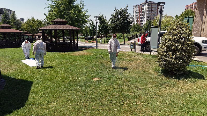 Kene Tarama Ve İlaçlama (9)