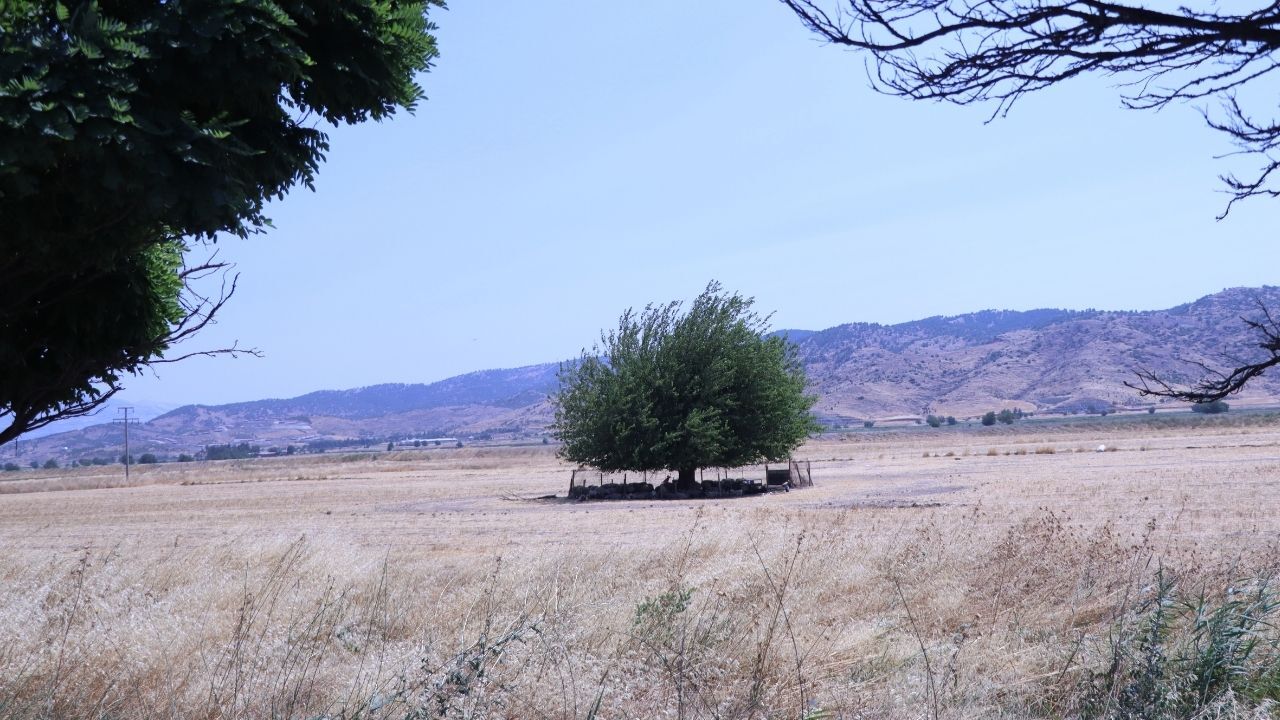 Son Kapak (2)