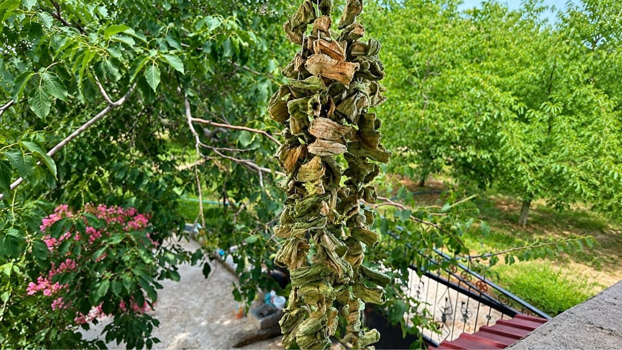 Son Kapak-6