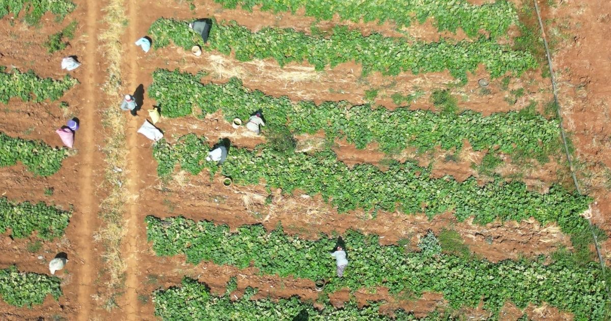 Ulaştırma Ve Altyapı Bakanı Abdulkadir Uraloğlu, Nurdağ Kahramanmaraş Hızlı Tren Hattı’na Ilişkin Açıklamada Bulundu. Bakan Uraloğlu, “Toplam 49 Kilometre Uzunluğunda Planladığımız Hatla Hem Yolcu