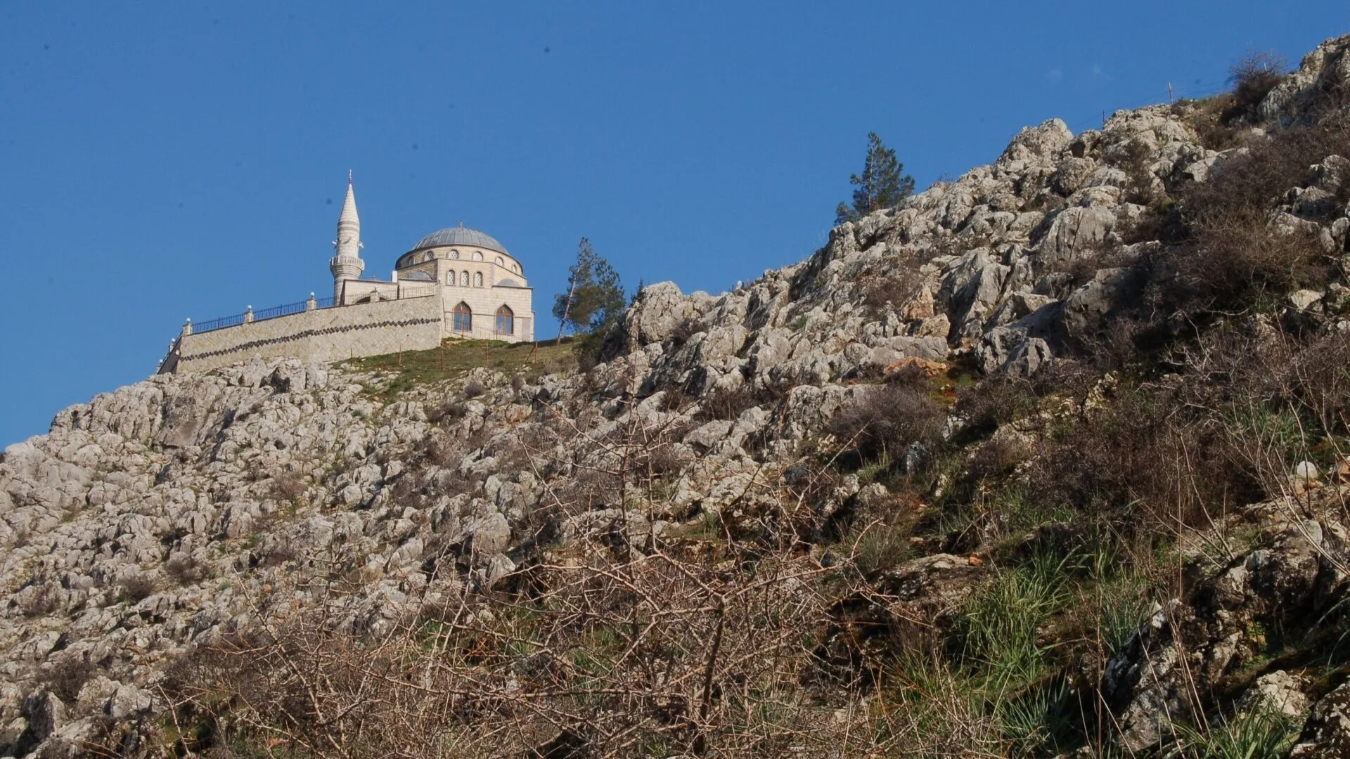 Dsc 3374 2-1