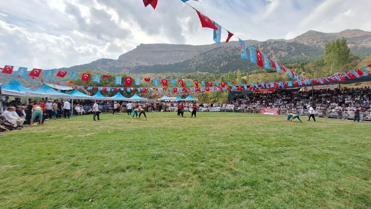 Güreş (3)