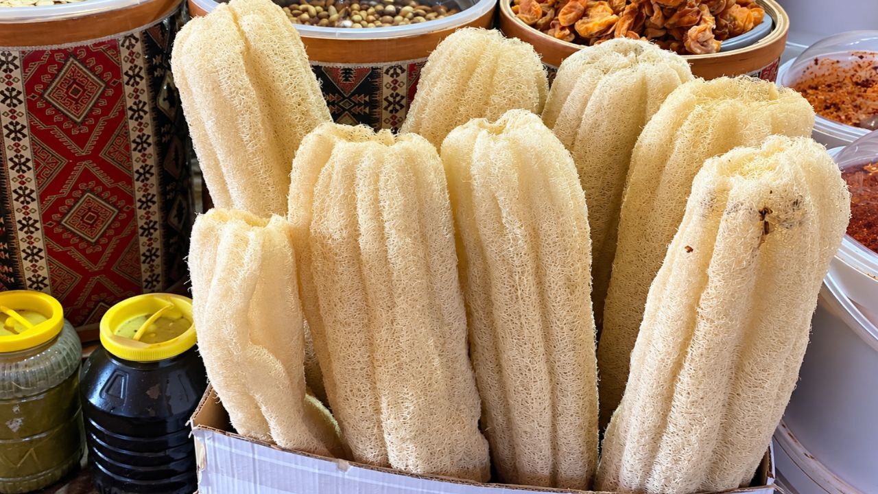 Hkllh-2