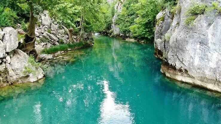 Images-147