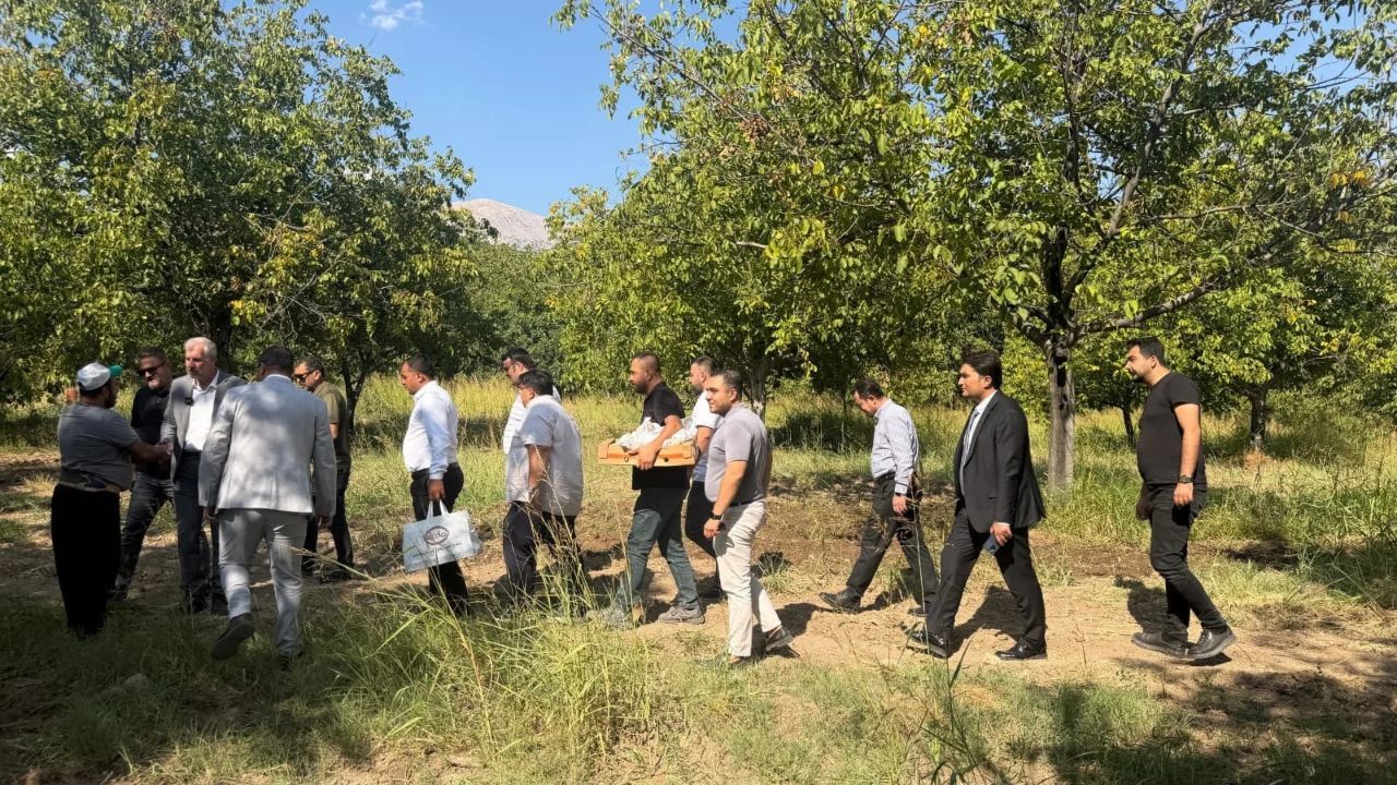 Kayalık (14)