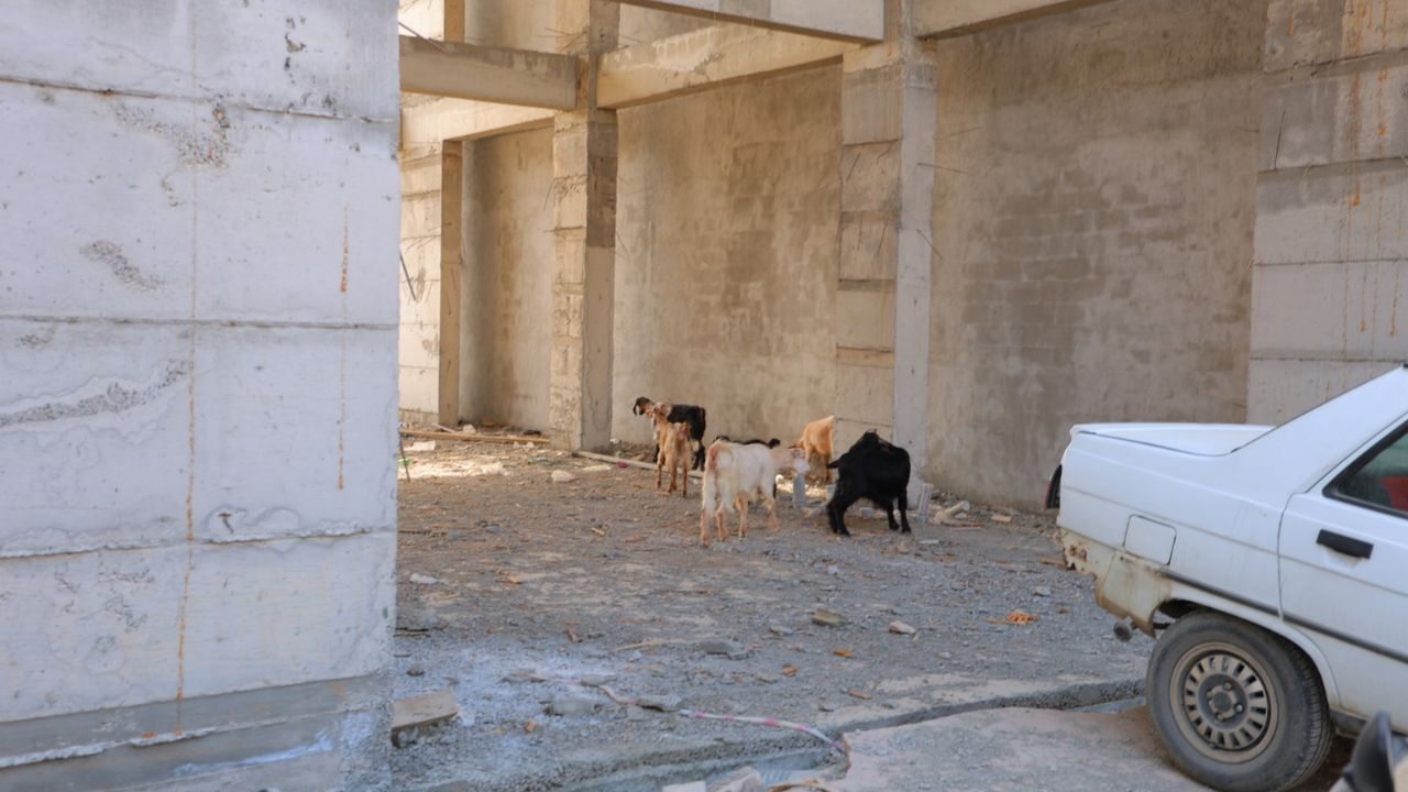 Keçi