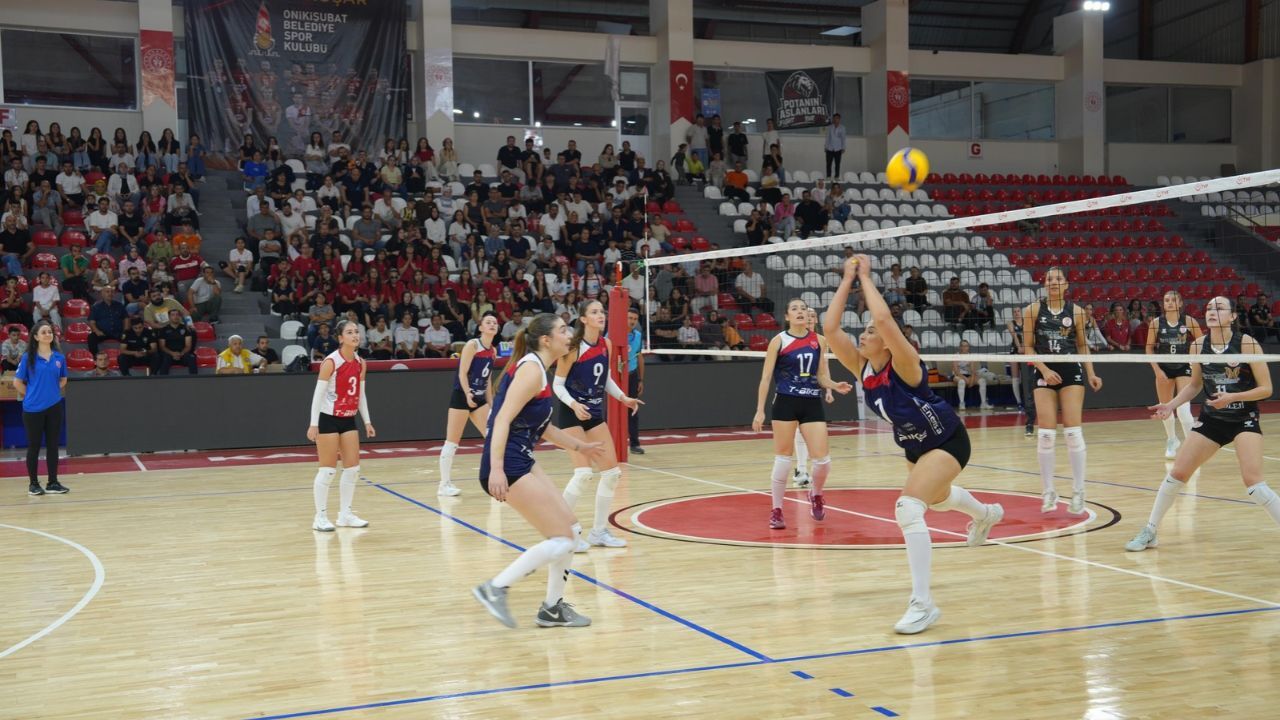 Voleybol