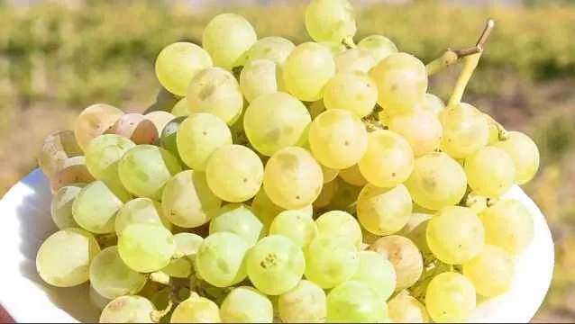 123 3