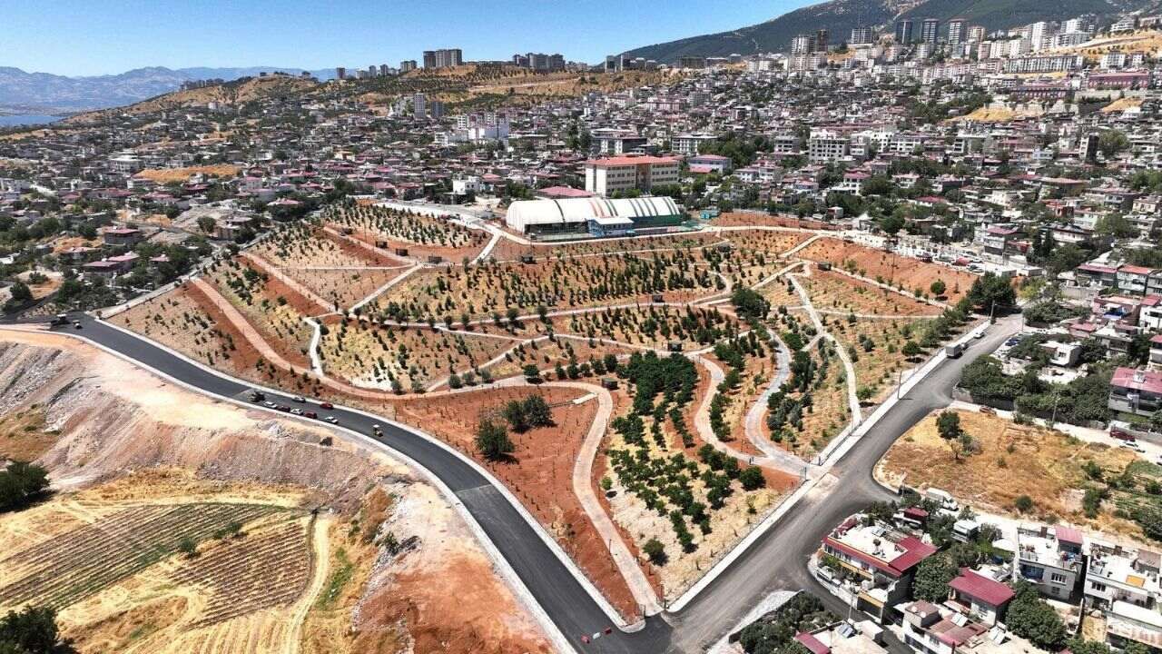 Ece Dokunmayın (91) (1)