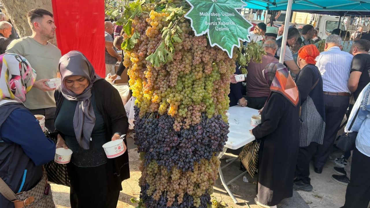 Pahalı Zevkleri Olan Kadın (3)