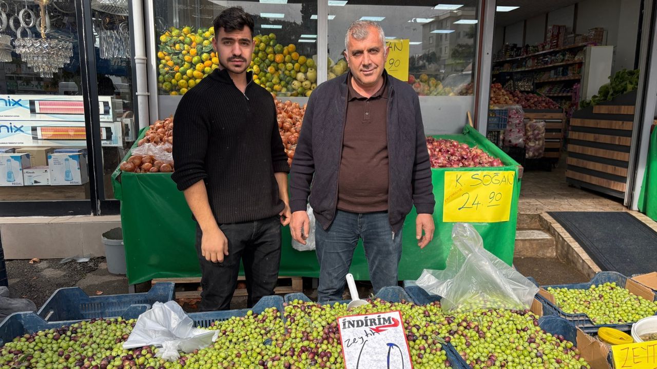 Zeytin (1)-1